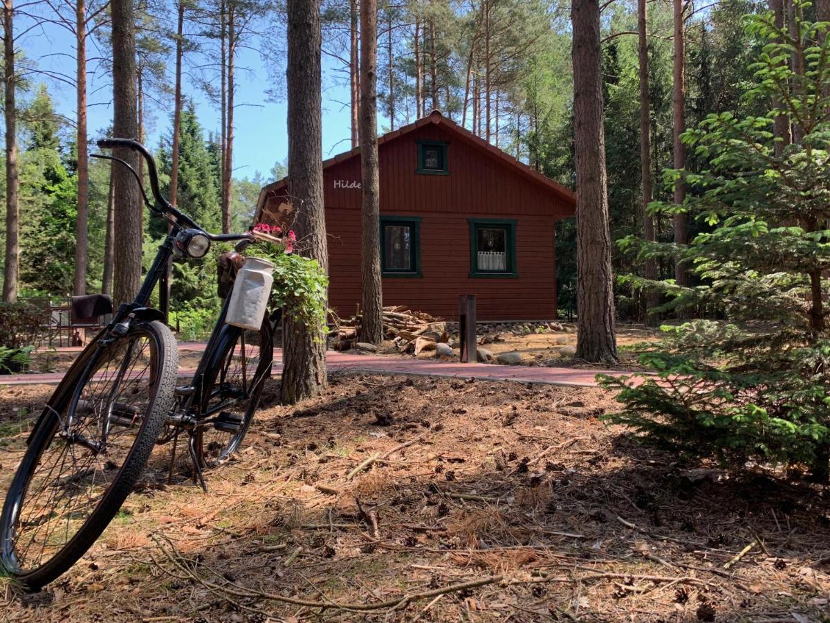 Waldhaus Hilde Villa Suderburg Eksteriør billede